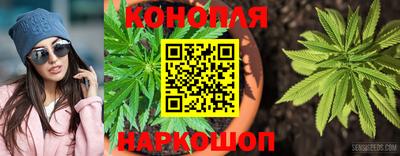 СК Конаково