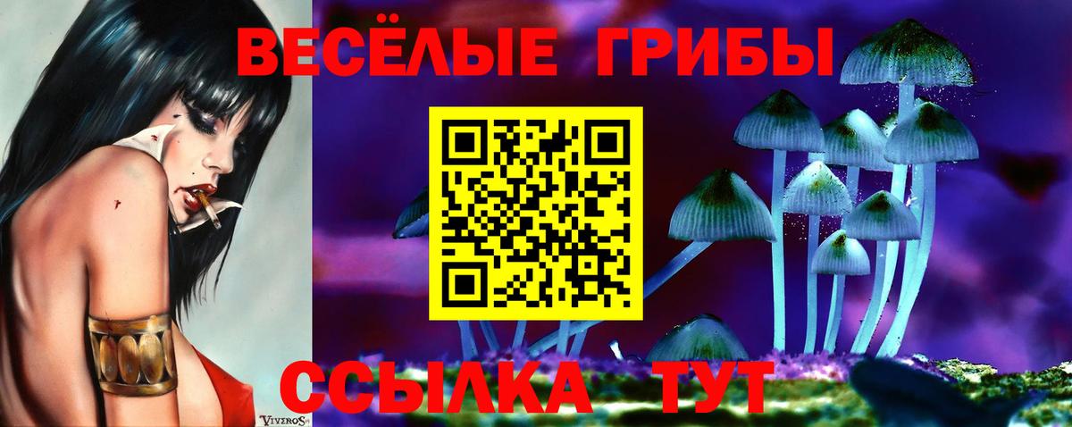 Галлюциногенные грибы Psilocybine cubensis  Галлюциногенные грибы Cubensis  Керчь  купить   Вход с VPN 