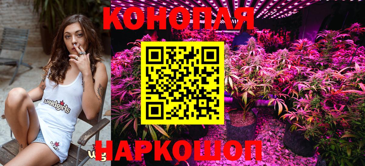 Каннабис тримм  Вход с VPN  МАРИХУАНА SATIVA & INDICA  Марихуана гибрид  Бошки Шишки Amnesia  Керчь 